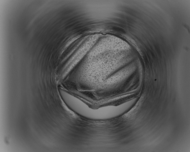 X0000091691433200709201250