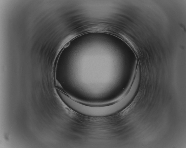 X0000091691434200709201250