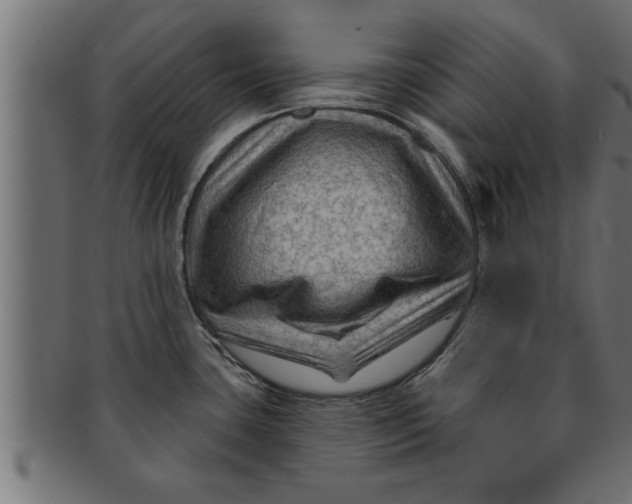 X0000091691435200709201250