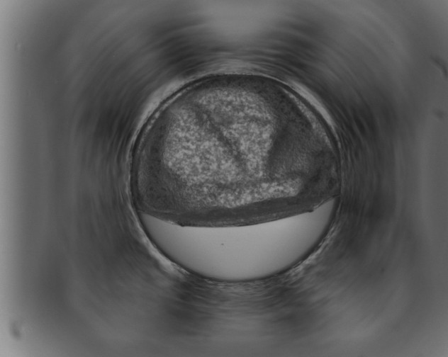 X0000091691437200709201250