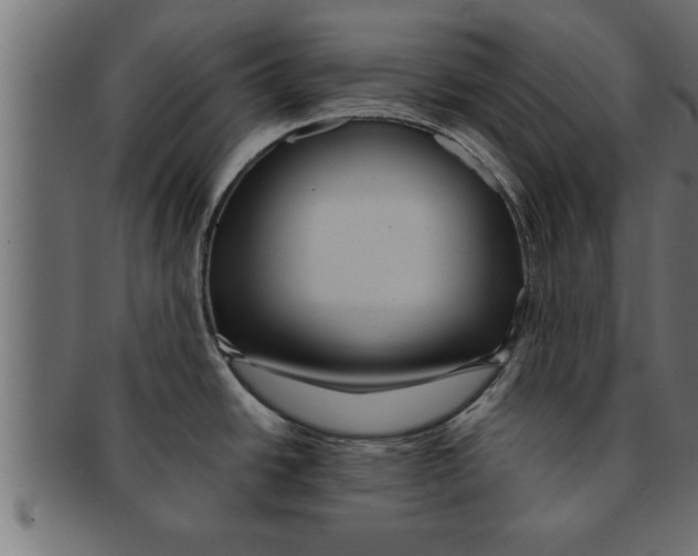 X0000091691438200709201250