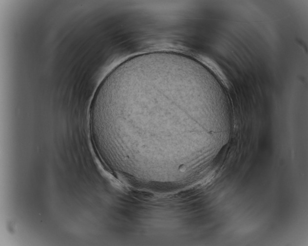 X0000091691439200709201250