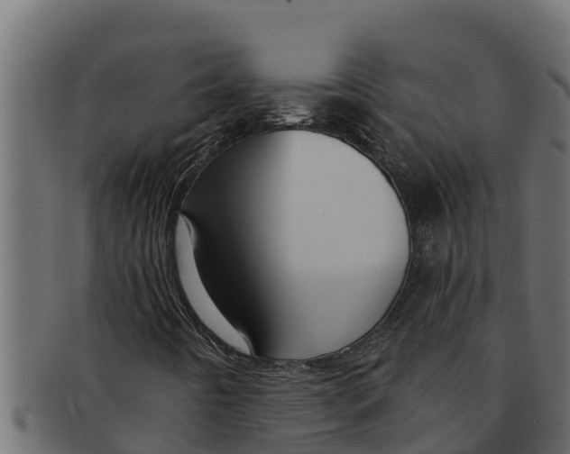 X0000091691442200709201249