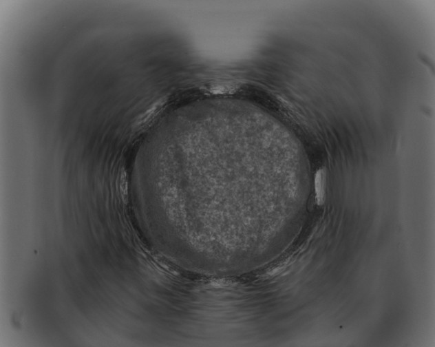 X0000091691443200709201249