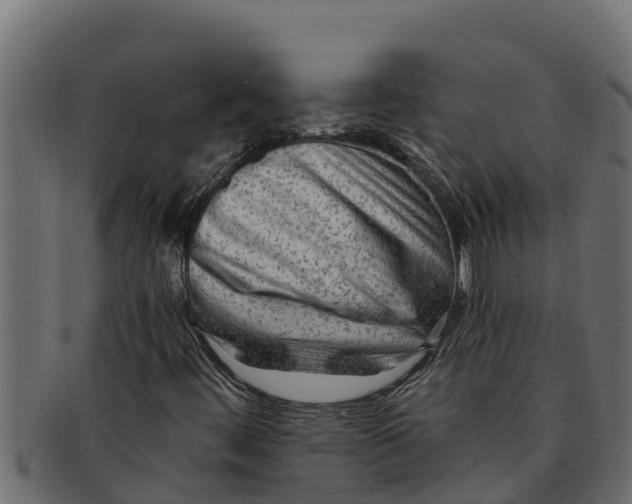 X0000091691444200709201249