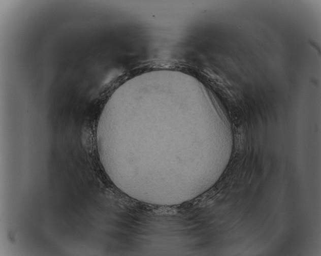 X0000091691446200709201249