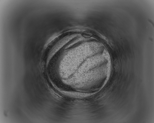 X0000091691448200709201249