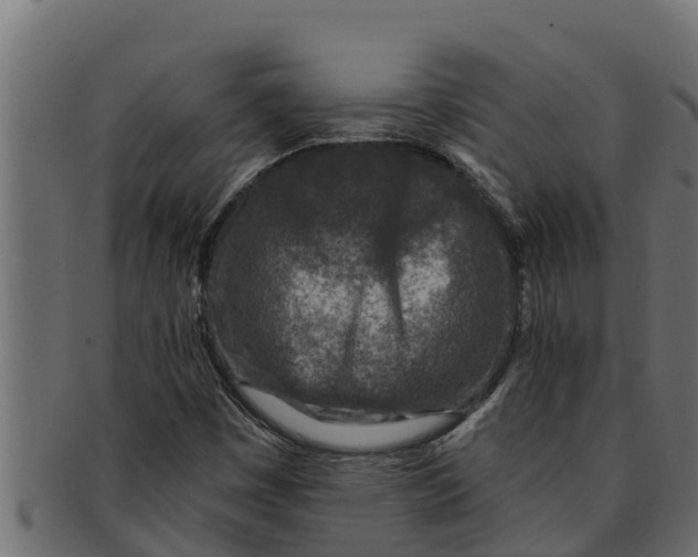 X0000091691449200709201249