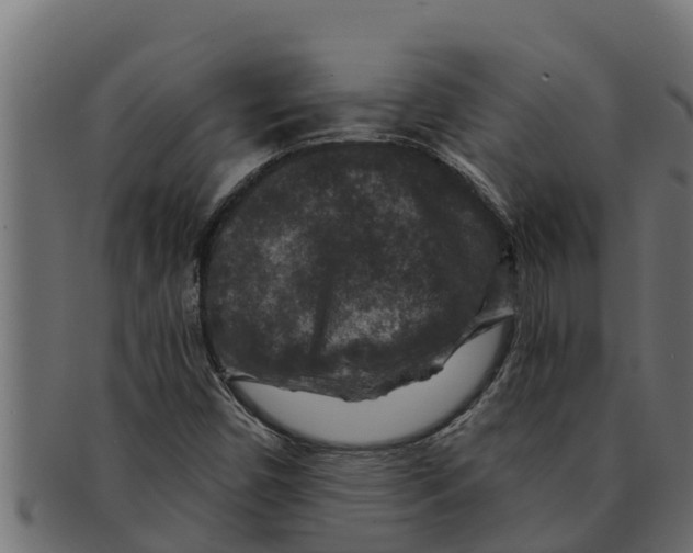 X0000091691450200709201249