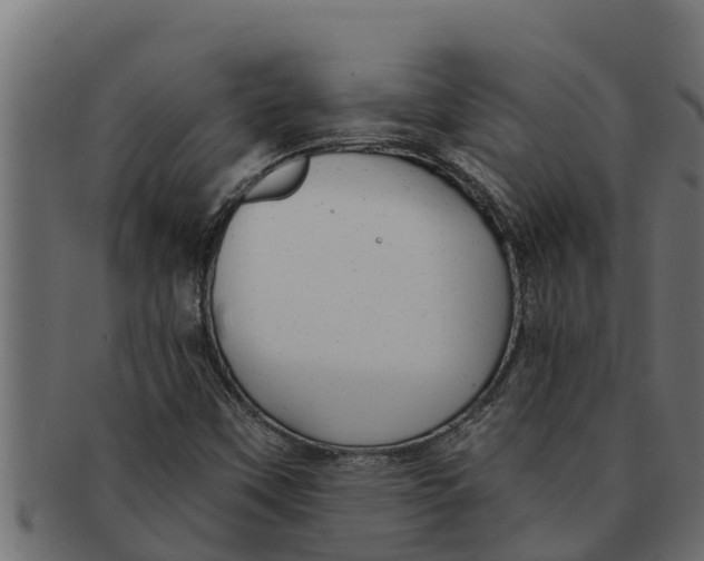 X0000091691451200709201249