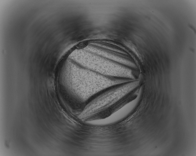 X0000091691452200709201249