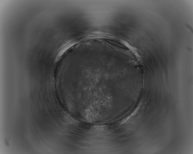 X0000091691453200709201249