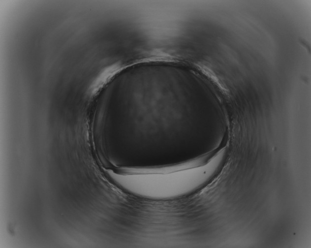 X0000091691455200709201249