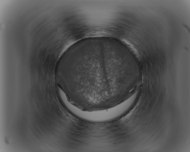 X0000091691457200709201249