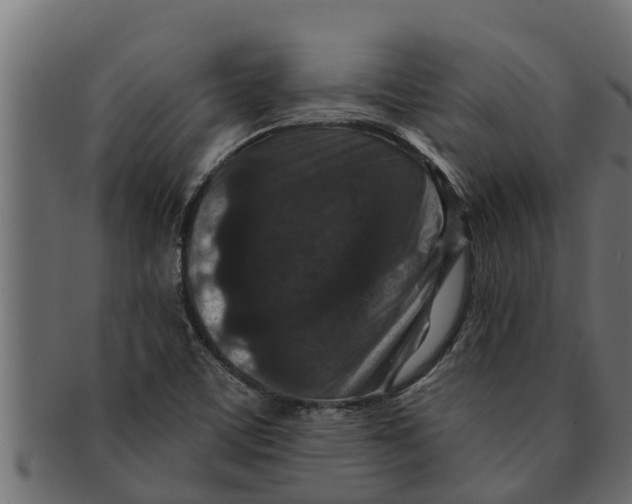 X0000091691459200709201249