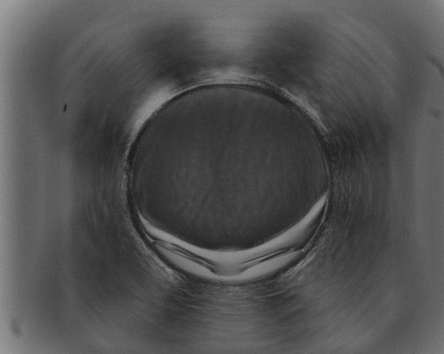 X0000091691463200709201249