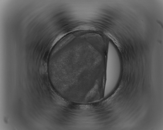 X0000091691465200709201249