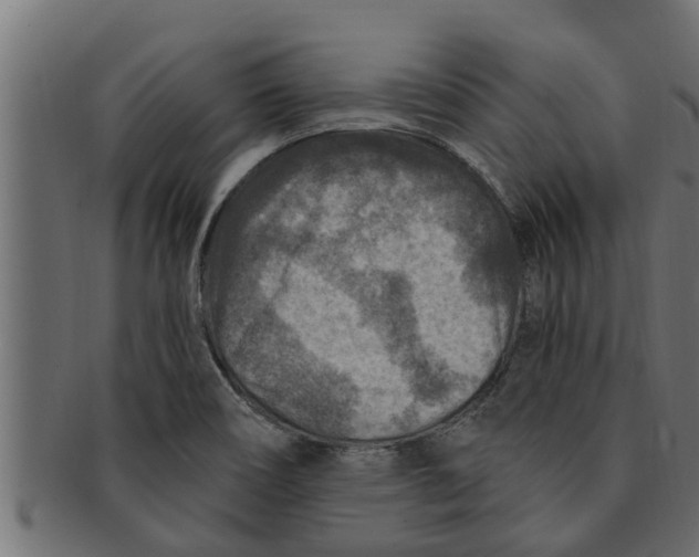 X0000091691466200709201249