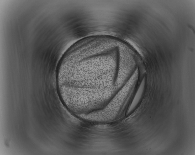 X0000091691468200709201249