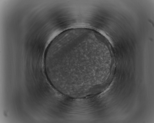 X0000091691469200709201249