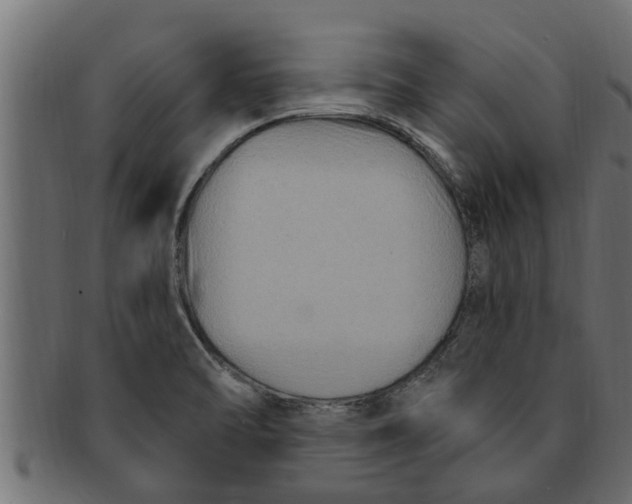 X0000091691470200709201249