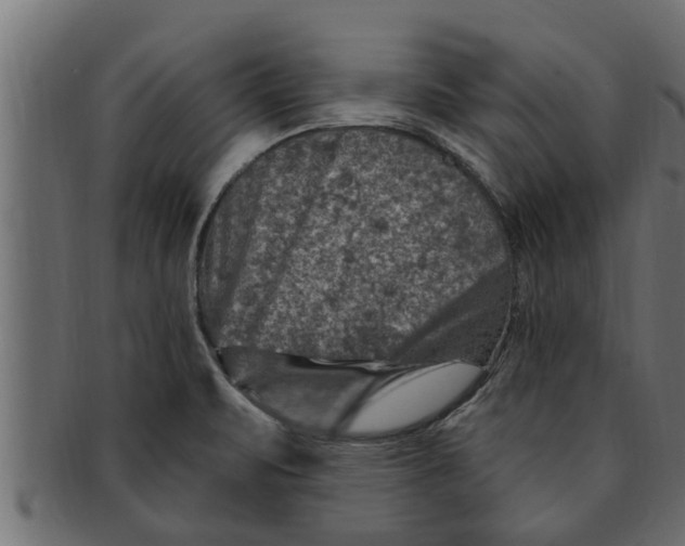 X0000091691471200709201249