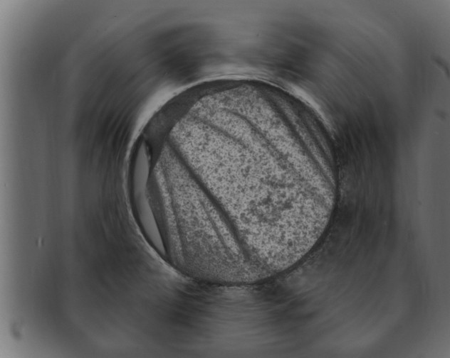 X0000091691472200709201249