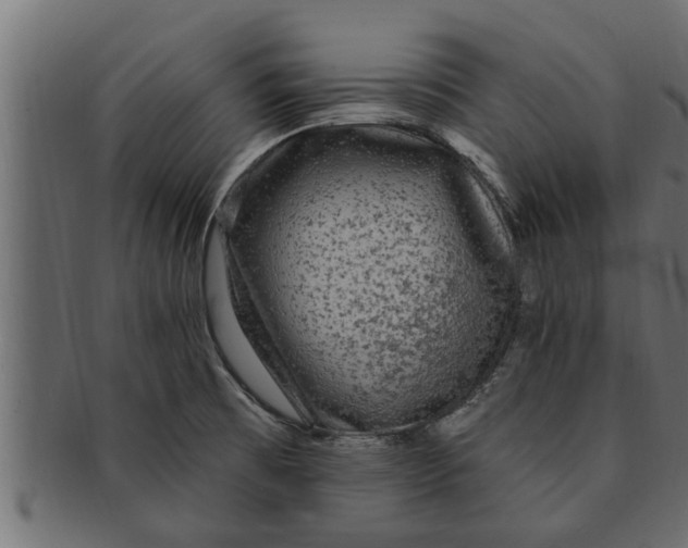 X0000091691473200709201249