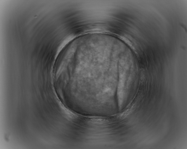 X0000091691474200709201249