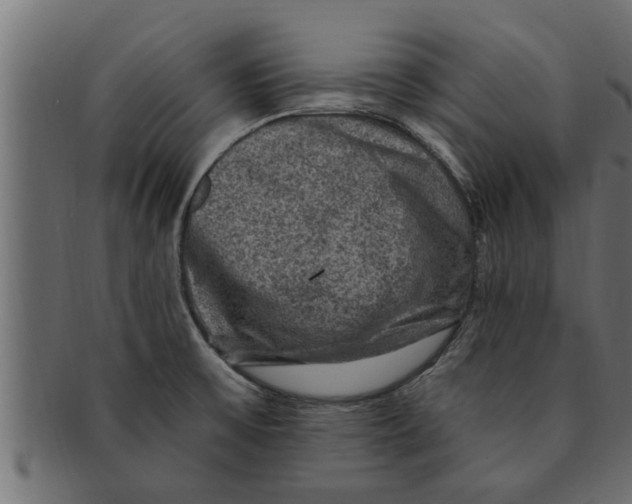 X0000091691475200709201249