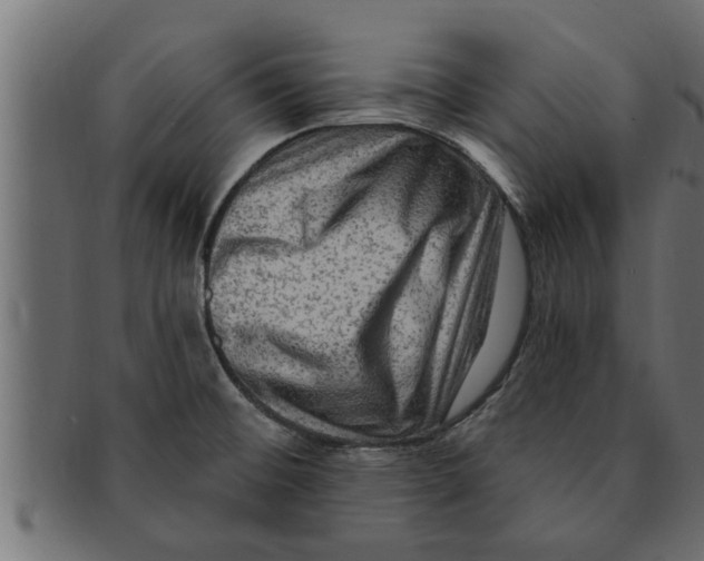 X0000091691476200709201249