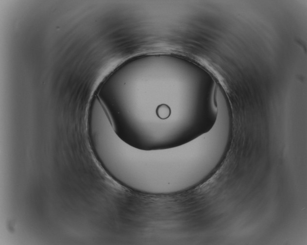 X0000091691477200709201249