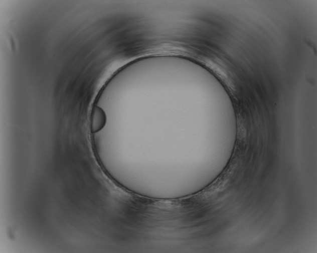 X0000091691478200709201249