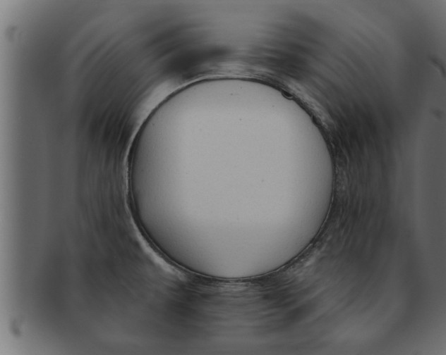 X0000091691479200709201249