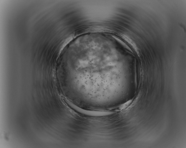 X0000091691481200709201249