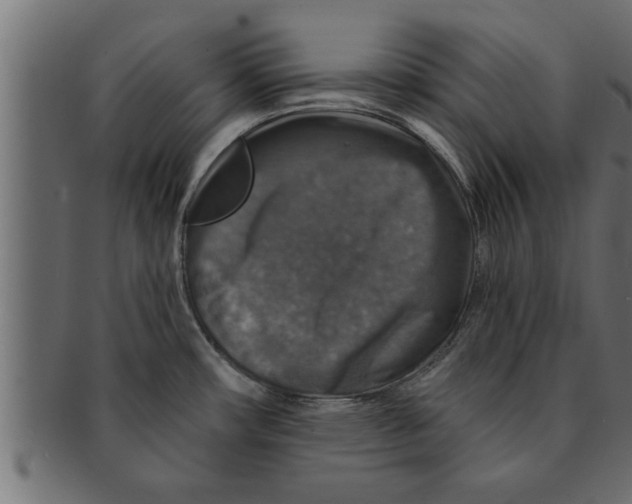 X0000091691482200709201249