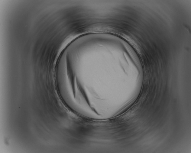 X0000091691486200709201249