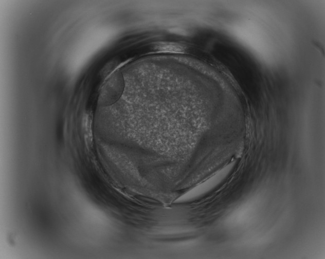 X0000091691487200709201249