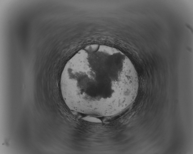 X0000091691489200709201248