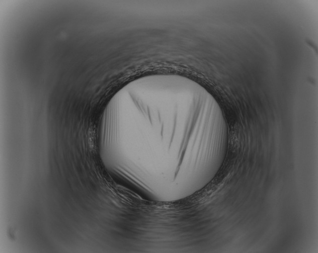 X0000091691490200709201248