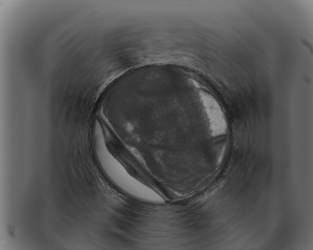 X0000091691497200709201248