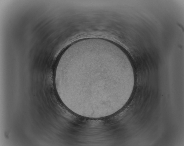 X0000091691498200709201248