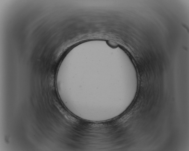 X0000091691499200709201248