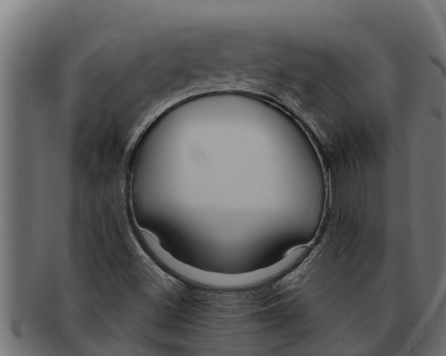 X0000091691500200709201248