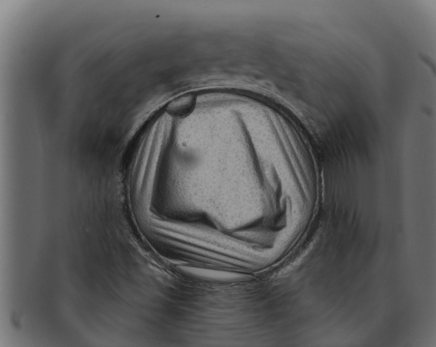 X0000091691501200709201248