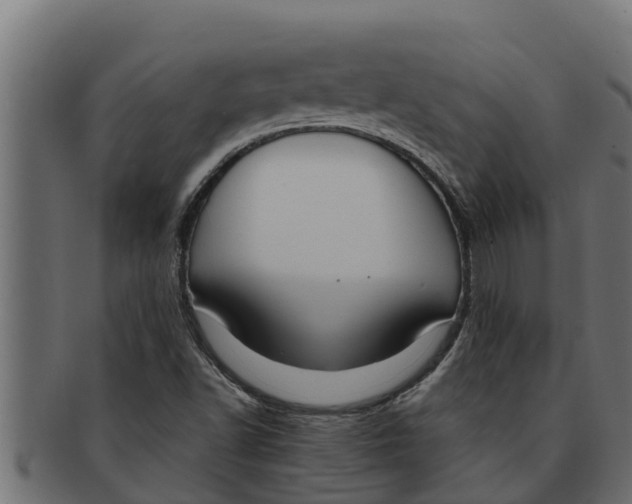 X0000091691502200709201248