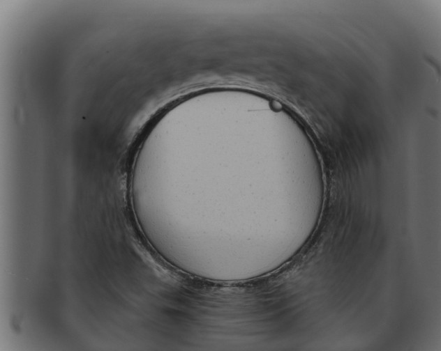 X0000091691503200709201248