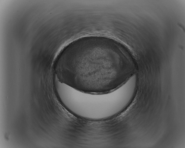 X0000091691506200709201248