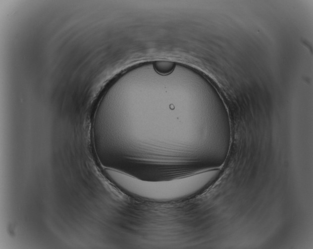 X0000091691507200709201248