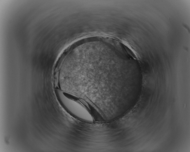 X0000091691508200709201248